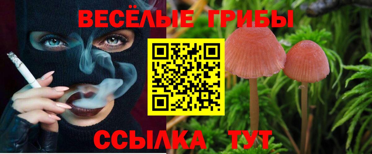 Набережные Челны  Псилоцибиновые грибы Magic Shrooms  Псилоцибиновые грибы мицелий  Вход с VPN 